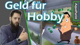 Die Aquaristik als Hobby refinanzieren