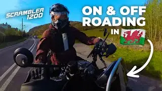 Is a Triumph Scrambler 1200 good off road? Let's find out!