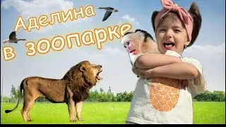 ВЛОГ ИЗ ЗООПАРКА| Новосибирский зоопарк имени Р.А. Шило| НОВОСИБИРСК