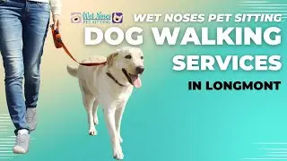 Dog Walking Services in Longmont CO | (970) 980-1325