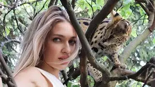 Домашний сервал на дереве на прогулке ❤️ serval cat