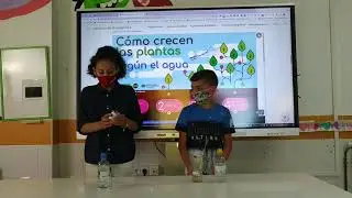 Las plantas y el tipo de aguas