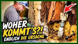 Behind this TOILET WALL, EVERYTHING is different than expected… | Home Build Solution