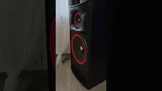 Cerwin vega xls15 - flex / bass i love you #2
