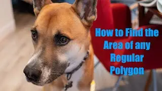 How to find the Area of a Regular Polygon
