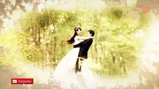 Free Project AE | Wedding Slideshow Beauty |  After Effects Templates