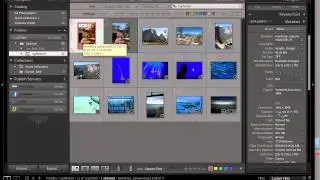 Erika Gentry Education: LR Adding Keywords & Metadata