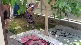 ОСТАЛСЯ БЕЗ ТРУСОВ....