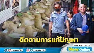 "ยุทธพล"  ติดตามแก้ปัญหาลิงล้นเมืองลพบุรี