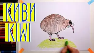 #КИВИ #какнарисовать  Уроки рисования для детей #howtodraw #KIWI #drawforchildren