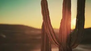 BEAUTIFUL LANDSCAPES | LEARN HOW TO APPLY THESE TRANSITIONS IN ADOBE PREMIERE PRO