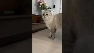 У Сави и Тимы 🙂