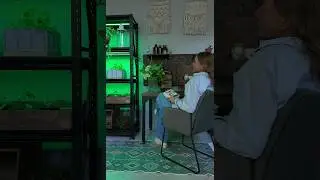 Выращиваем рассаду на металлических стеллаж с подсветкой #рассада #сад #огород