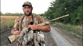 Наша поездка на кубань