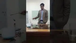 Fehling Test Performance