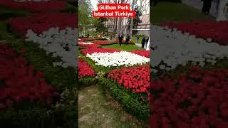 Gülhan Park İstanbul Türkiye, Flower Garden Istanbul Turkey #tahirgulvlogs #tahirgul #gülhane