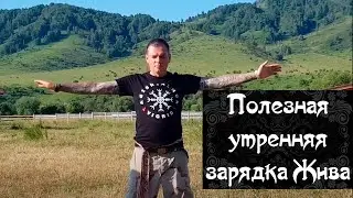 Useful morning exercises Alive. Oleg Dargor