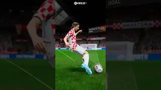 Luka Modric 