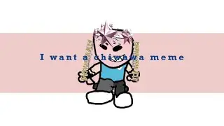 I WANT A CHIWAWA MEME