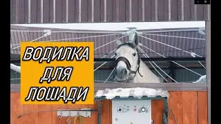 ✅ Водилка для лошадей.✅ Как работает шагалка для лошади TRAMPLIN