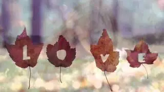 Marisa Monte - Amor I Love You