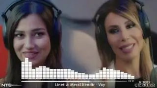 Kırgın Çiçekler - Meral & Linet - Vay