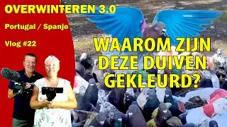 #360
