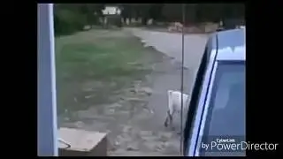 Зашел дамой света нету