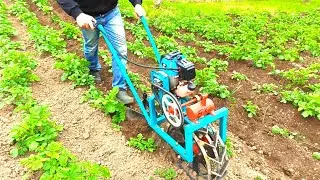 Окучивание картофеля