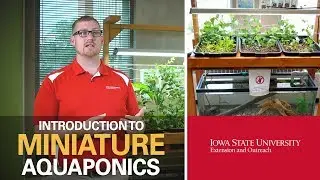 Aquaponics, Part 1: Benefits of an Aquaponic System