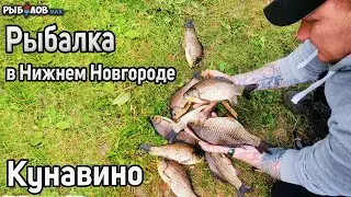 Summer fishing in Nizhny Novgorod 2022. Borsky District. Crucian carp fishing in the village of K...