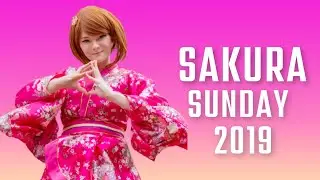 Sakura Sunday 2019 Cosplay Vlog
