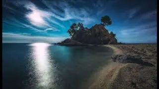 THE NIGHTFLY- NOCTURNA-  GOIN' BACK