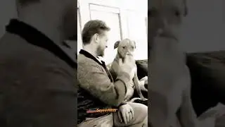 Funny animal video | Wee daily.wee #funnyvideo #wee