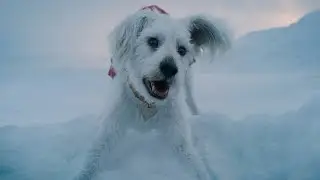 Krypto The Superdog Powers and Fighting Skills Compilation