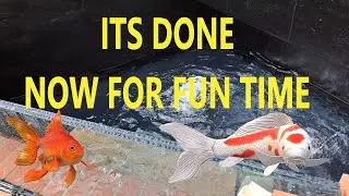 IVE DONE IT....at last