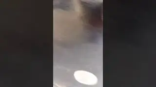 Videolar başlayır