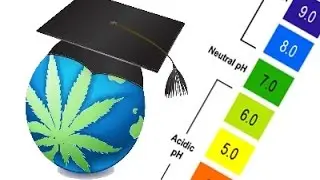 pH Range Guide for Cannabis - Soil & Hydroponics
