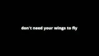Cash Cash - Hero - Overlay Lyrics