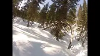 Вездесущее Всемогущество