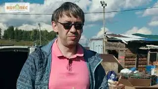 Один день из жизни Приюта Кот и Пес