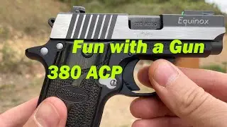 380 ACP