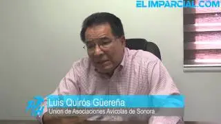 Precio de huevo se normalizará hasta diciembre