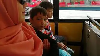 To Cologne Zoo
