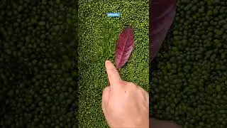 Real vs fake 🤯 ||   #ATA #tech