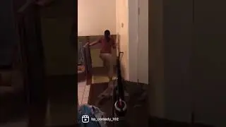 Human gets hurt trying to do magic trick to dog