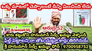 Chilli cultivation telugu|Chilli seeds telugu|Mirchi price|Mirapa sagu|Mirapa vithanalu|Arudra 52|