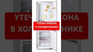 ❄️FREO LEAK IN THE REFRIGERATOR