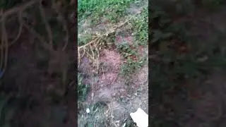 Продолжение