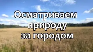Черняховск. Безмятежность за городом [800 подписчиков]